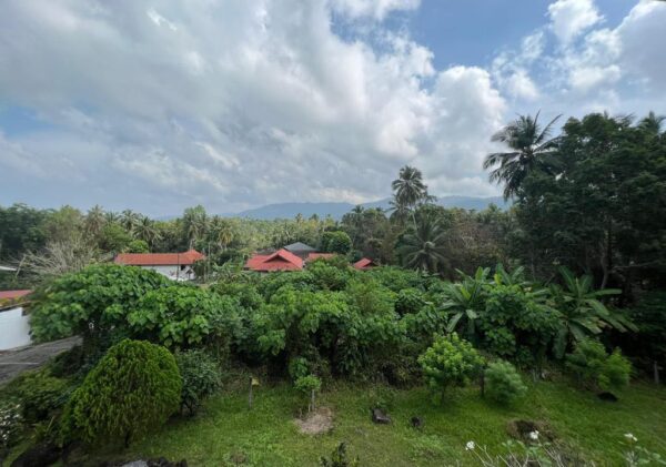 3 bedroom villa with a big land plot in Taling Ngam：圖片 10