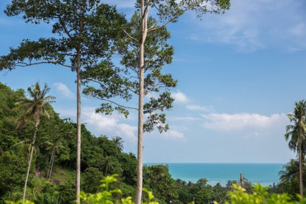 Spacious and modern 3 bedroom sea view villa in Lamai：圖片 2
