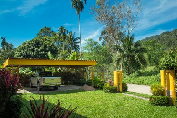 Villa with 19 rooms on a big land plot in the quiet area：圖片 5