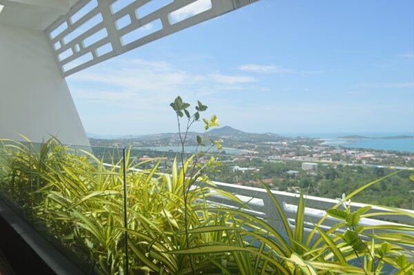 2 bedroom villa with a private pool：圖片 4